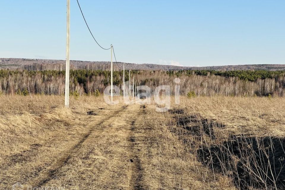 земля р-н Емельяновский село Устюг фото 5