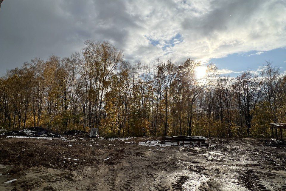 дом р-н Богородский д Бурцево ул 2-ая Вишневая фото 4