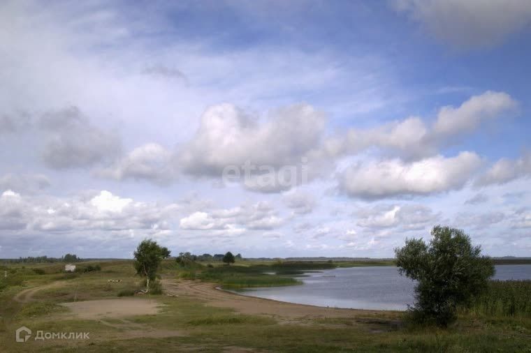 земля р-н Печорский деревня Слудицы фото 4