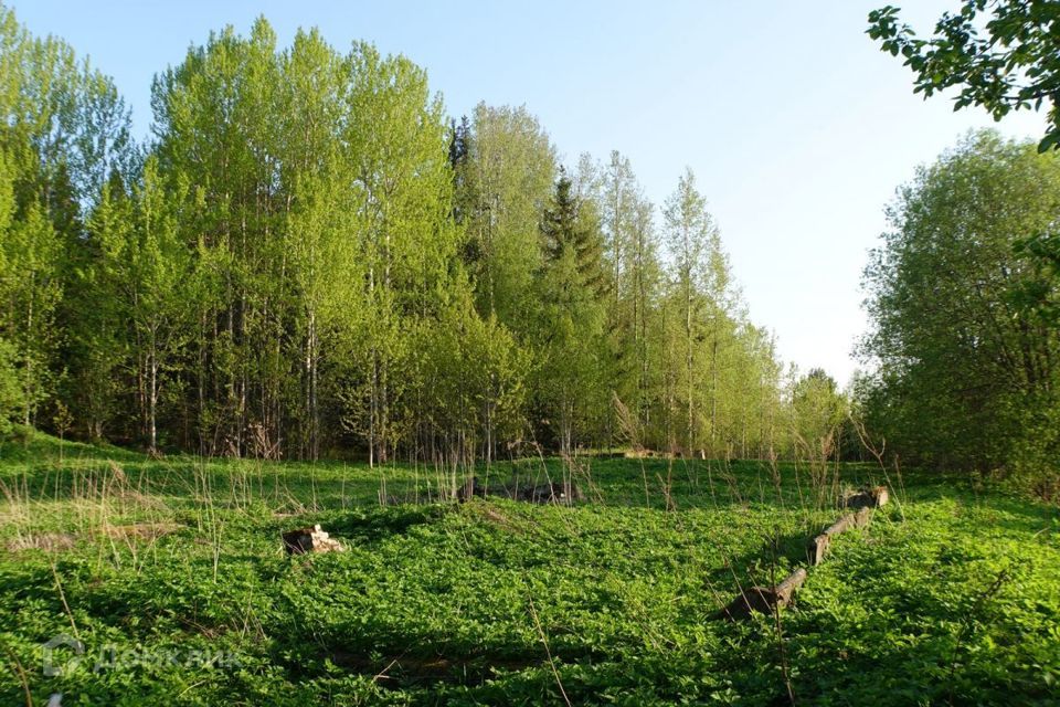 земля Сортавальский район, местечко Светлое фото 8