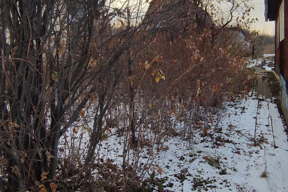 земля городской округ Красноярск, садоводческое некоммерческое товарищество Дружба, 69 фото 10