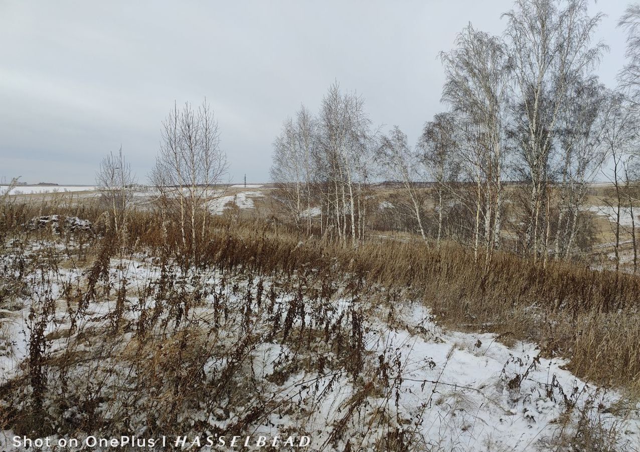 земля р-н Емельяновский с/с Солонцовский сельсовет, СПК Солонцы, Красноярск фото 2