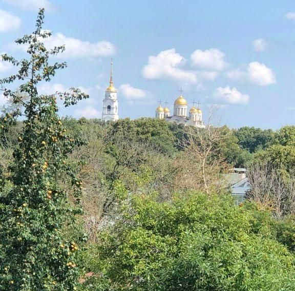 квартира г Владимир р-н Ленинский ул Вознесенская 15 фото 14