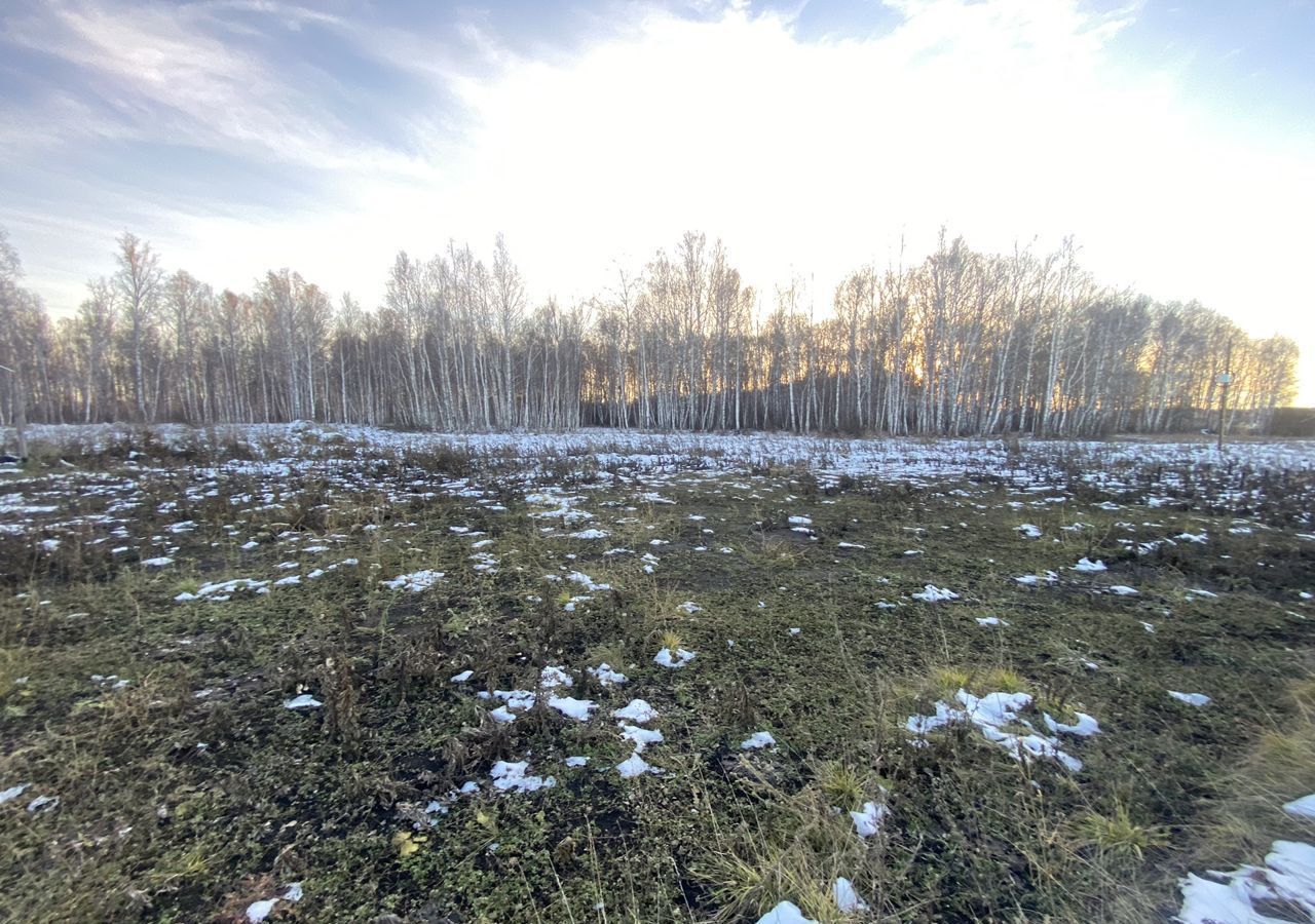 земля р-н Сосновский с Кайгородово Алишевское сельское поселение, коттеджный пос. Романовское Поместье, Полетаево фото 3