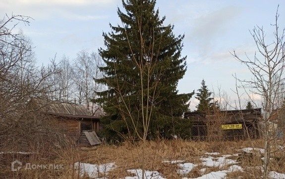 земля р-н Тосненский садовое некоммерческое товарищество Спутник, 10-я линия фото 4