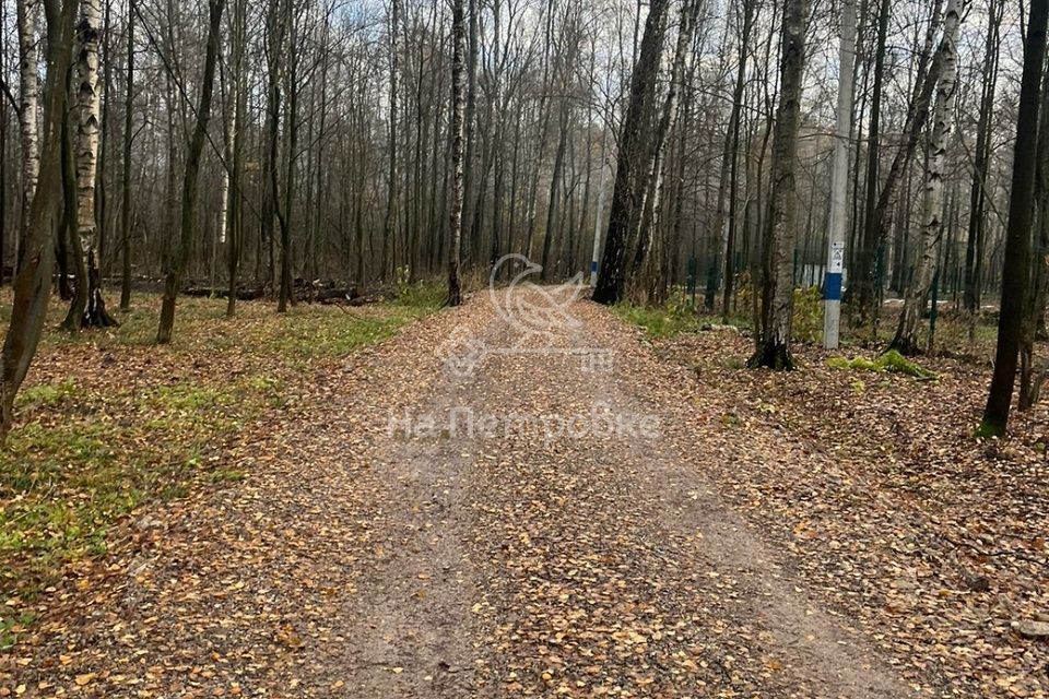 земля городской округ Мытищи п Вешки ДНП Дальние Вёшки фото 3