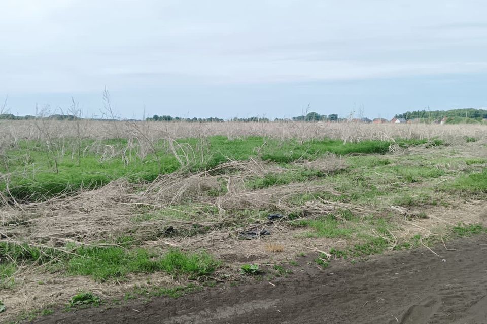 земля г Тюмень городской округ Тюмень, Червишевский тракт фото 2