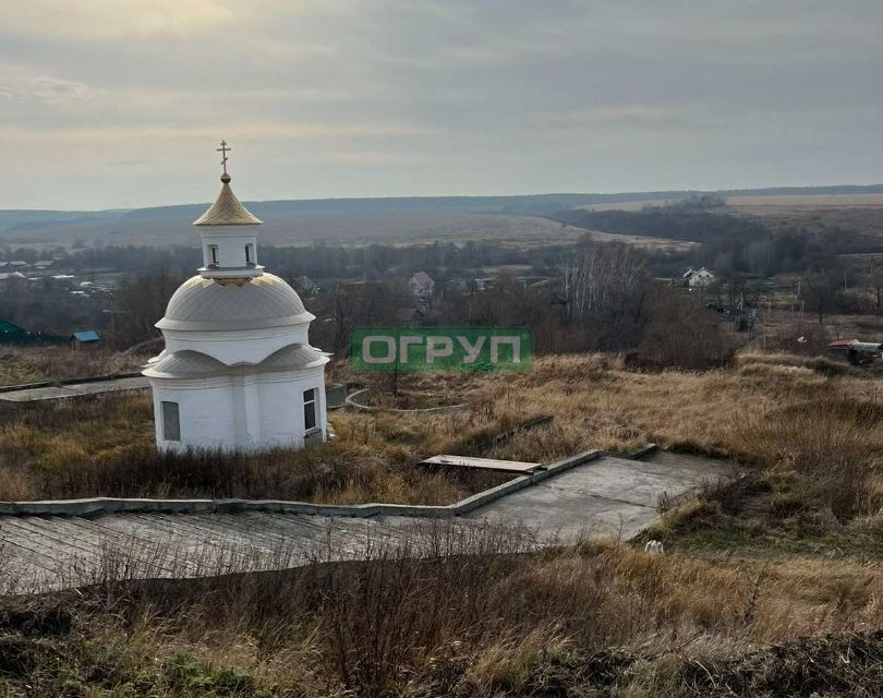 земля р-н Пензенский с Большая Валяевка ул Нижняя 4 фото 4