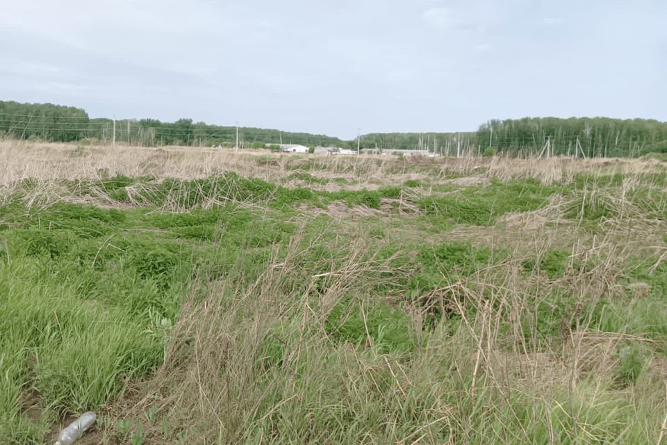 земля г Тюмень городской округ Тюмень, Червишевский тракт фото 6