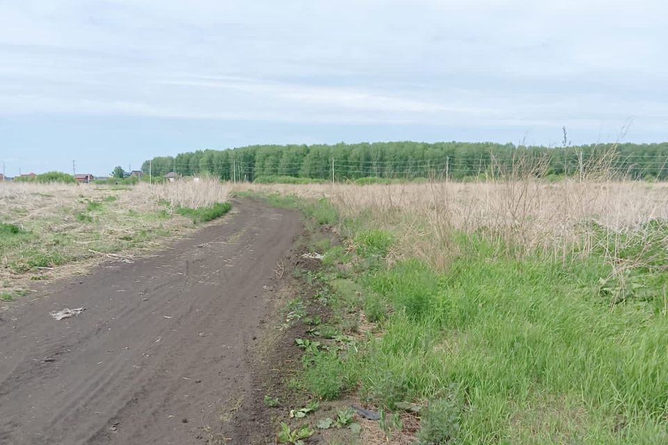 земля г Тюмень городской округ Тюмень, Червишевский тракт фото 7