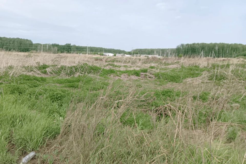 земля г Тюмень городской округ Тюмень, Червишевский тракт фото 10