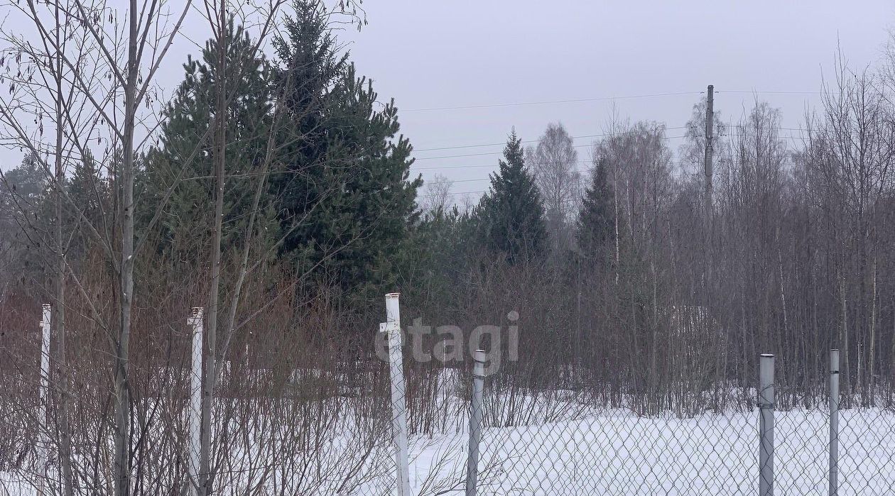 земля р-н Новгородский с/п Ермолинское Ляпино-3 массив, Лидер садоводческое товарищество фото 3