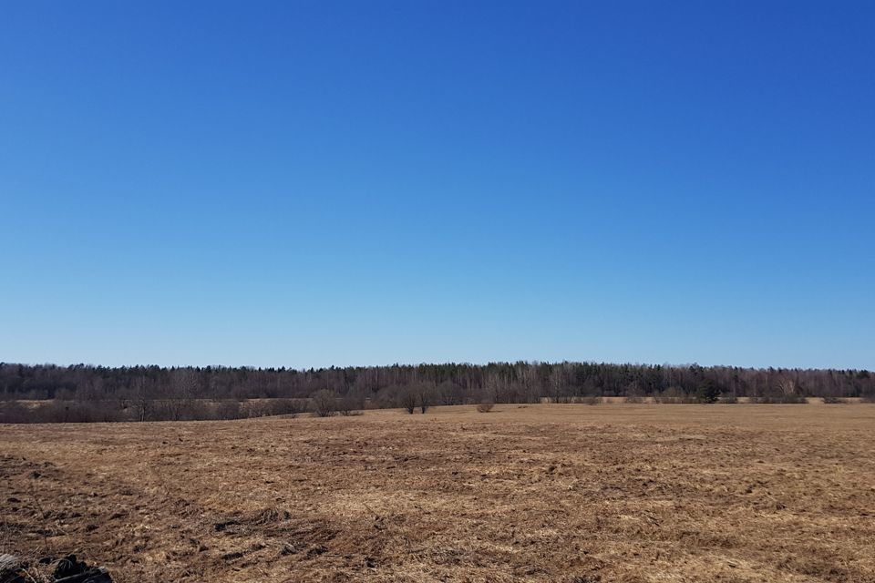 земля р-н Тосненский массив Любань, участок Доброе Село-Смердыня фото 4