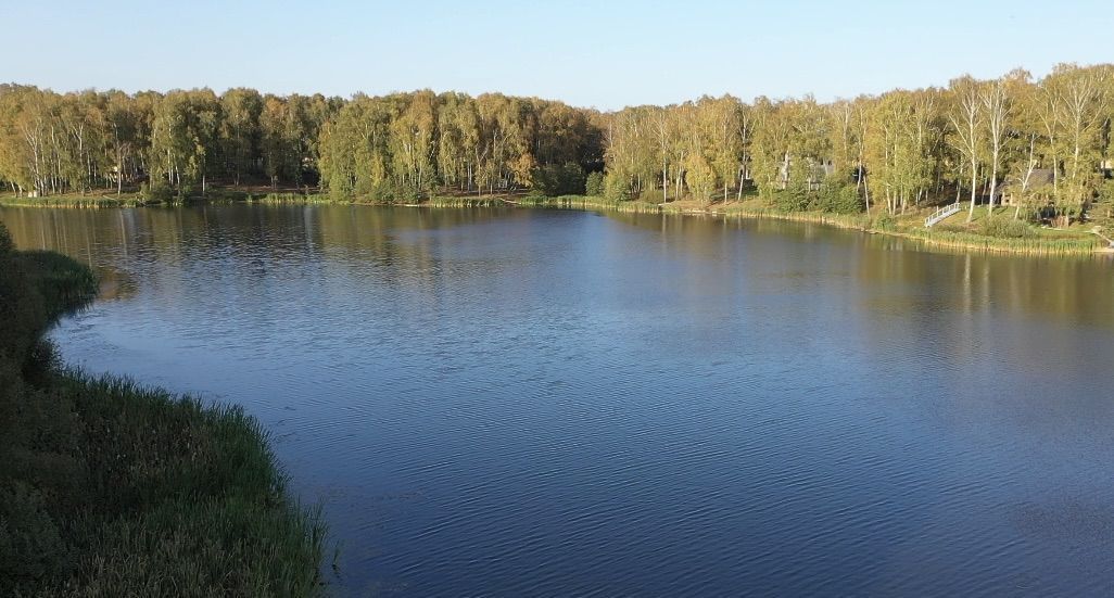 земля городской округ Богородский д Кутузово г. о. Домодедово фото 17