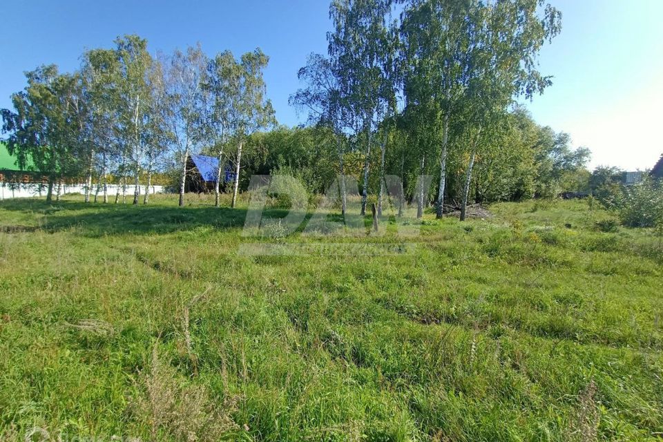 земля р-н Аргаяшский село Кузнецкое фото 2