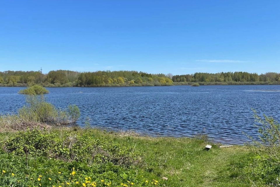 дом р-н Новгородский деревня Радионово фото 2