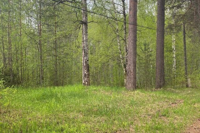 земля пгт Краснозатонский городской округ Сыктывкар, местечко Лемью, 18 фото