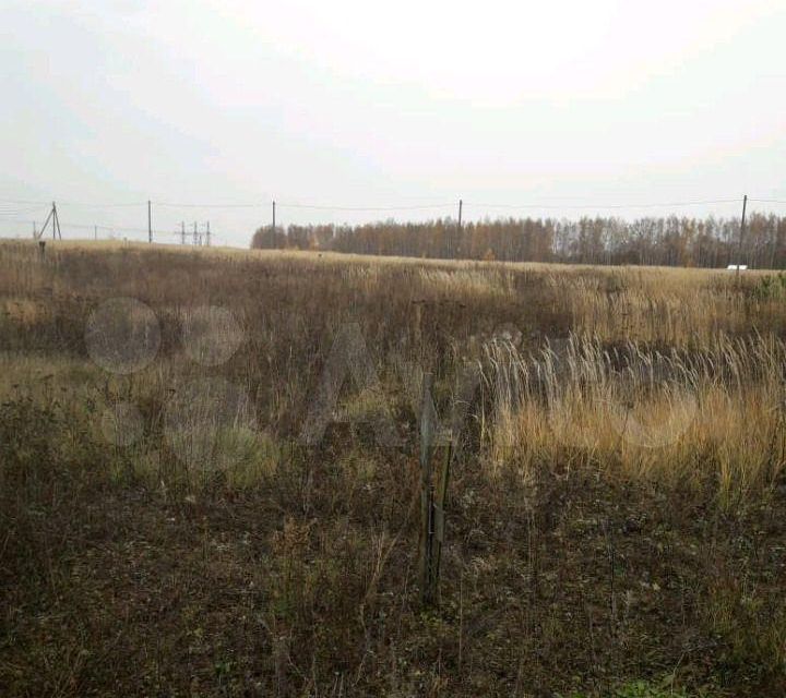 Погода кургузи большие в зеленодольском районе. Селище говядино Зеленодольский Республика. Большие ключи Зеленодольский район. Чирючи Зеленодольского района.