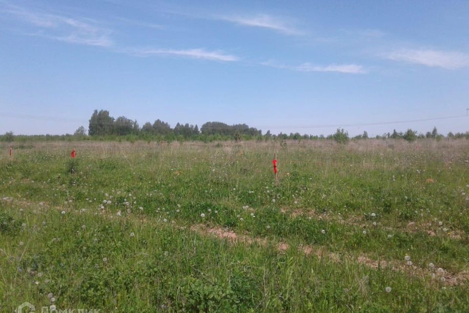 земля р-н Зеленодольский с Большие Кургузи ул Школьная 2 фото 4