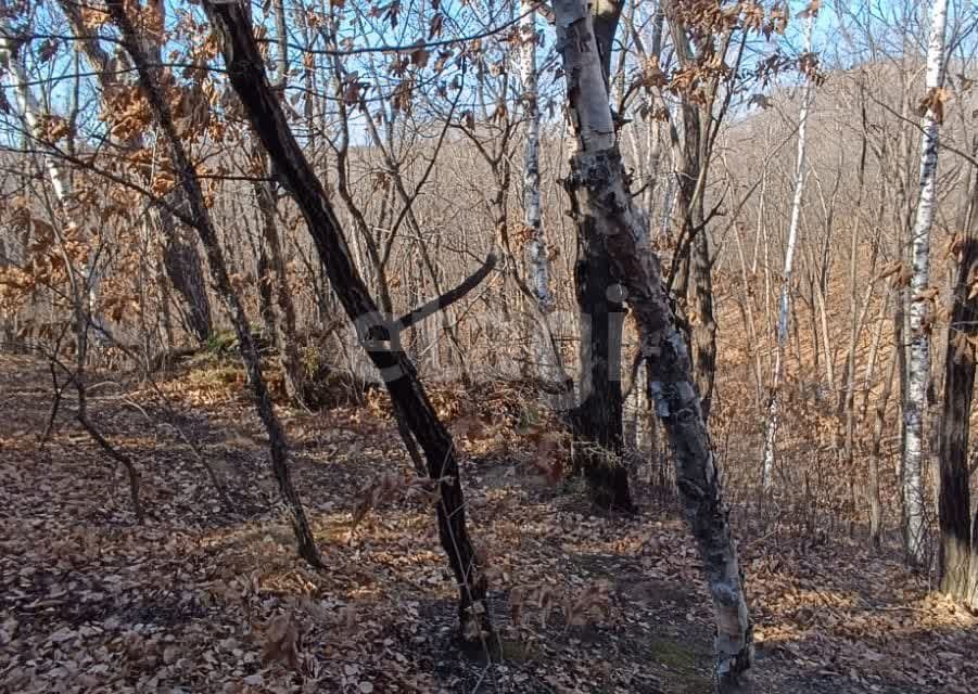 Купить Земельный Участок Чигири Амурская Область