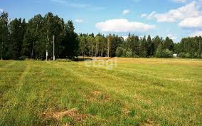 земля г Благовещенск село Верхнеблаговещенское, городской округ Благовещенск фото 3