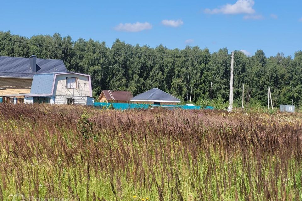 Деревня зеленодольск