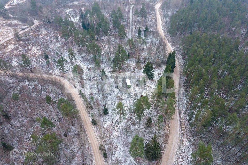 земля р-н Выборгский посёлок Лебедевка фото 7