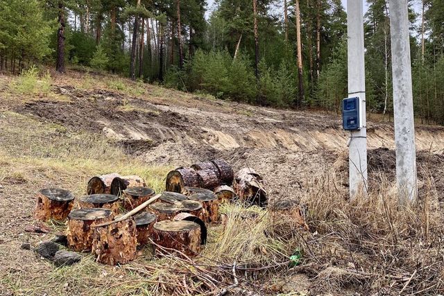 земля городской округ Волжск фото