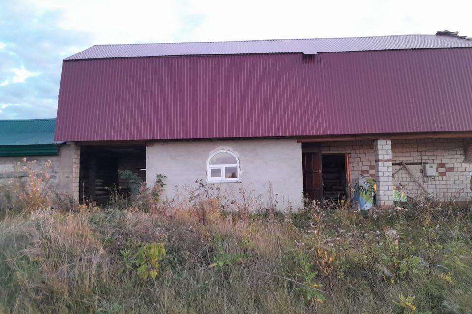 дом р-н Кармаскалинский деревня Савалеево фото 2