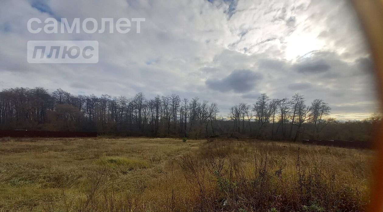 земля р-н Курский д Дурнево сельсовет, 17, Клюквинский фото 6