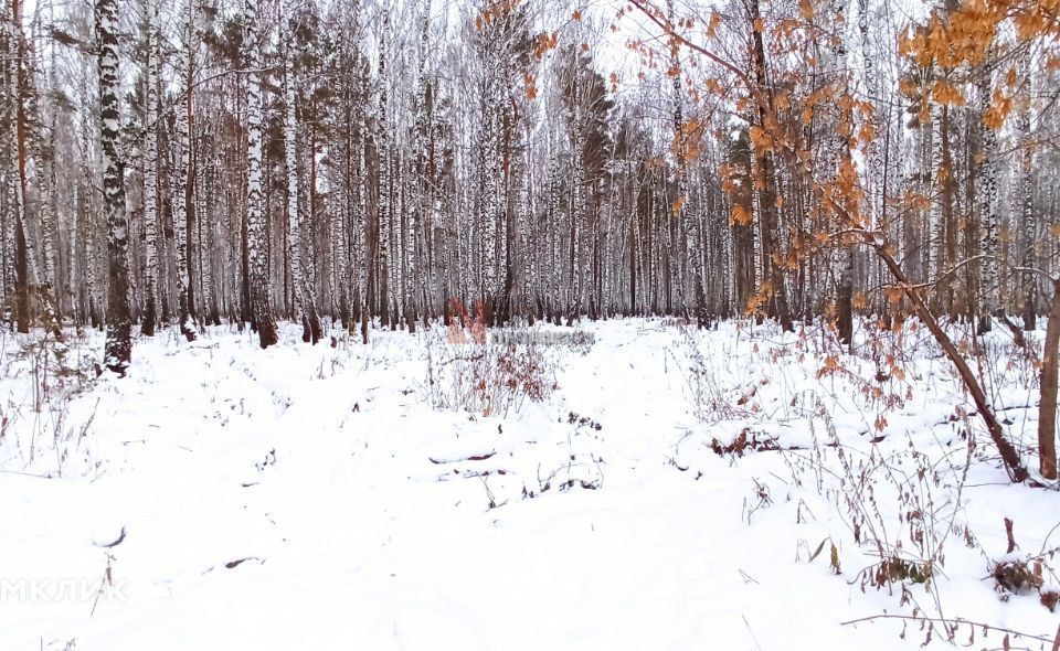 земля р-н Тюменский д Решетникова ул Береговая 3 фото 4