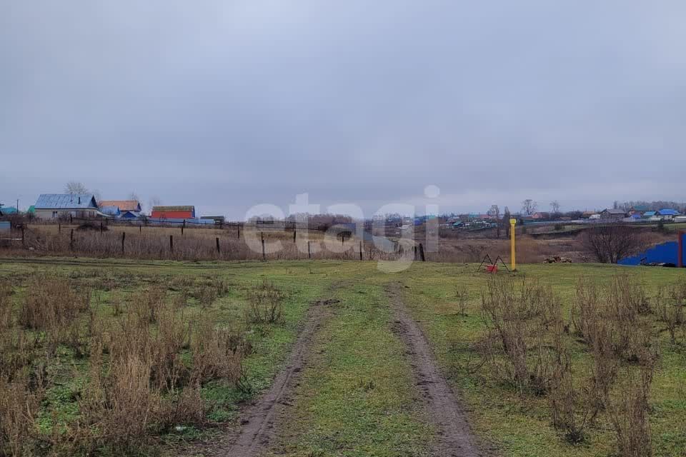 земля р-н Кушнаренковский село Калтаево фото 2