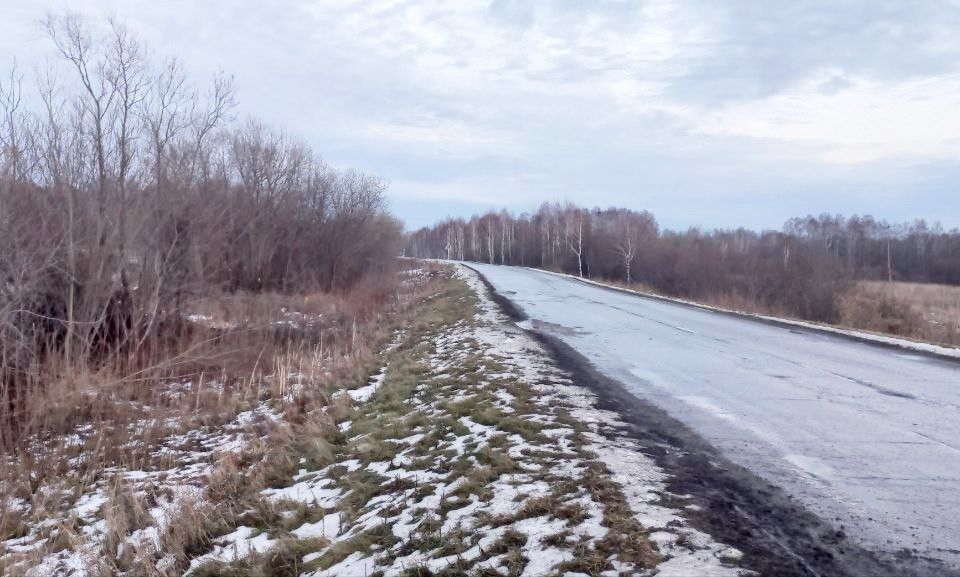 земля р-н Мошковский с Новомошковское ул Центральная фото 6