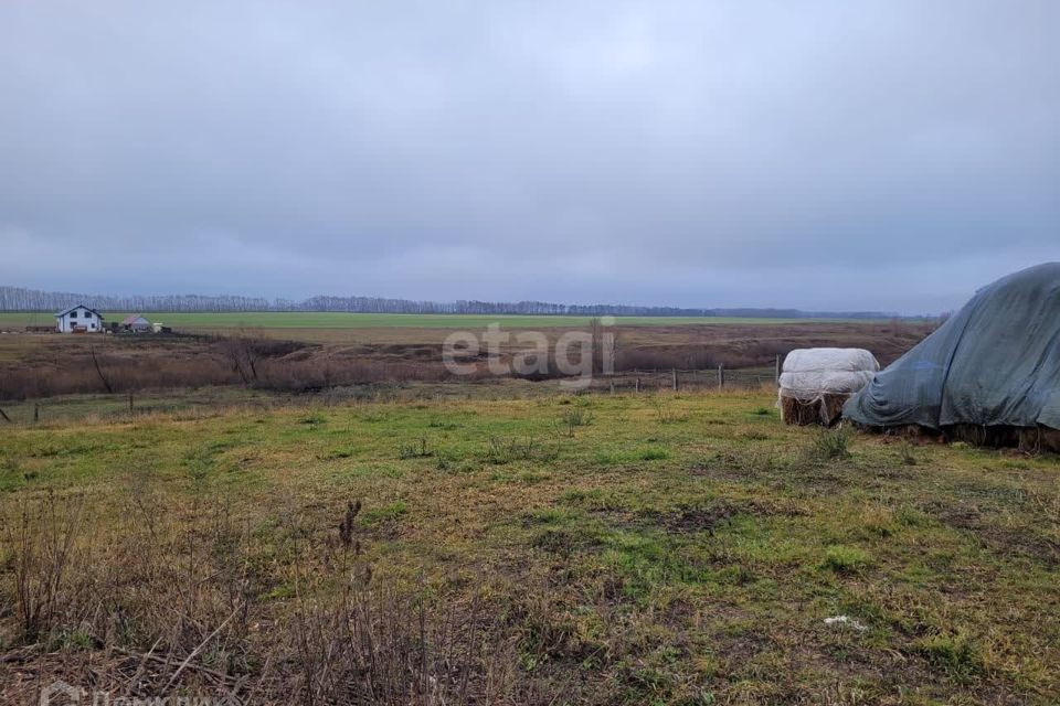 земля р-н Кушнаренковский село Калтаево фото 9