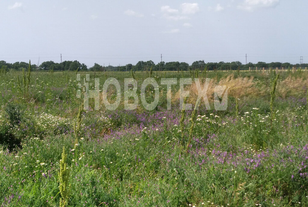 земля р-н Северский пгт Ильский Ильское городское поселение фото 6