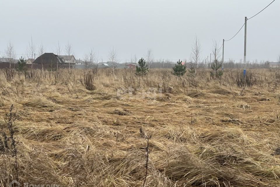 земля городской округ Раменский деревня Кузнецово фото 3