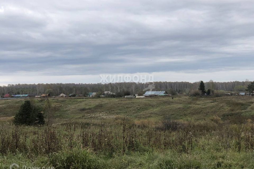 дом р-н Черепановский с Новошмаково ул Центральная фото 1