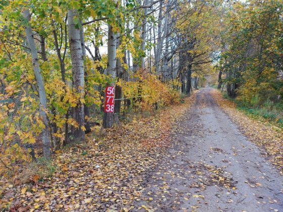 земля р-н Гурьевский посёлок Свободное фото 5