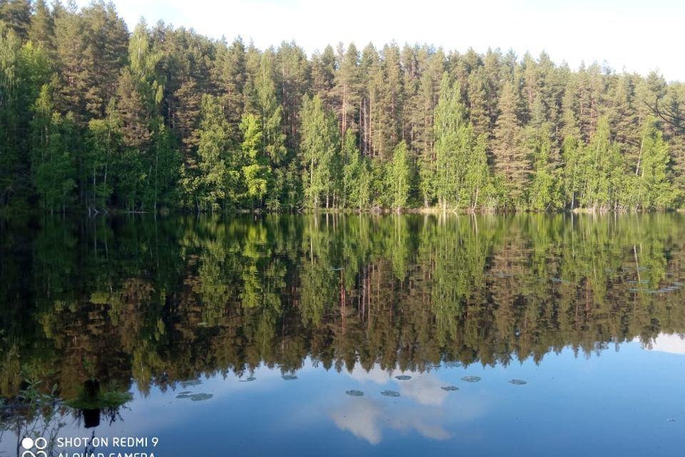 земля р-н Лодейнопольский село Алёховщина фото 1