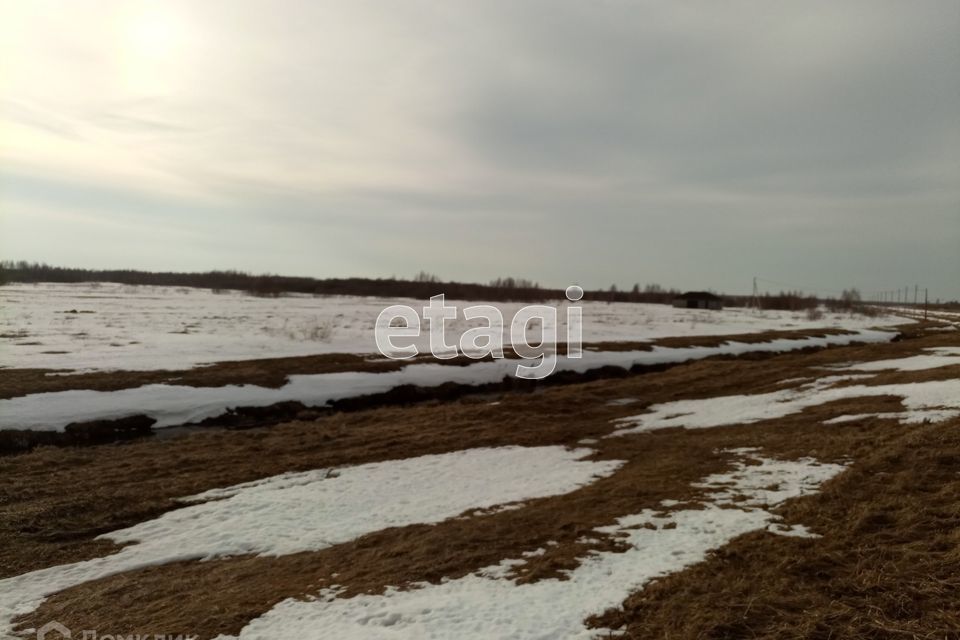 земля г Кострома городской округ Кострома, Фабричный район фото 5