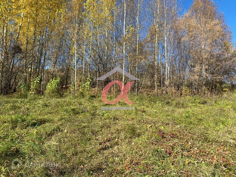 земля р-н Новокузнецкий с Сосновка ул Юдина фото 3