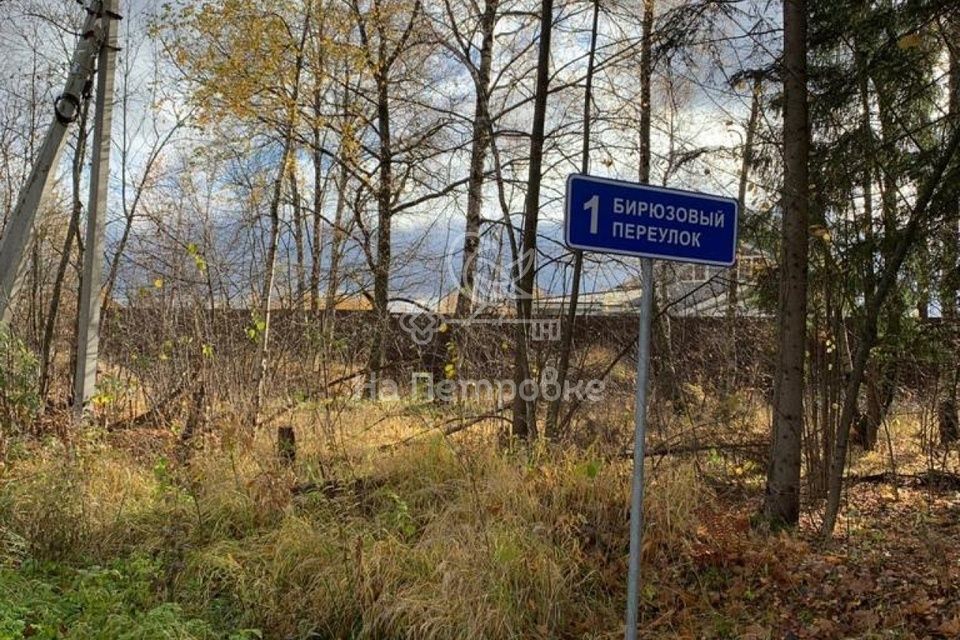 земля городской округ Одинцовский п НИИ Радио ул Тыльная 2д фото 8