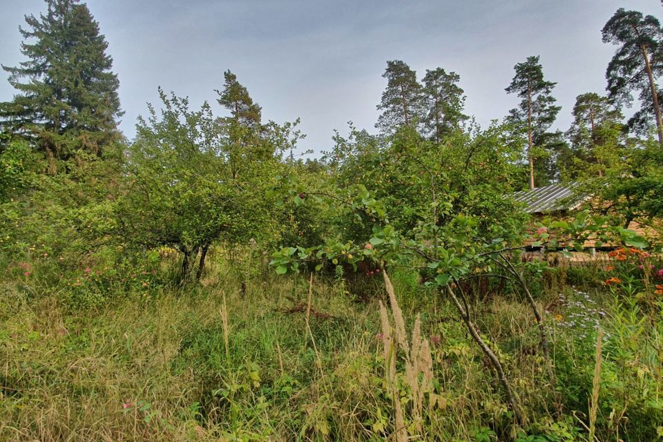 земля р-н Гатчинский городской посёлок Вырица, Сосновая улица фото 4