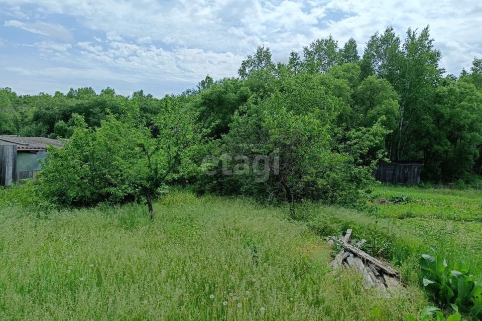 дом р-н Тамбовский с Садовое ул Новая 12 городской округ Благовещенск фото 7