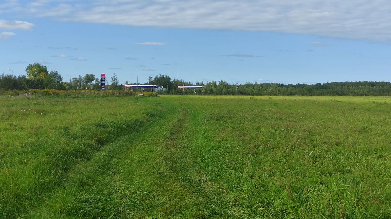 земля р-н Конаковский д Старое Мелково в районе СНТ Зверовод-2 фото 1