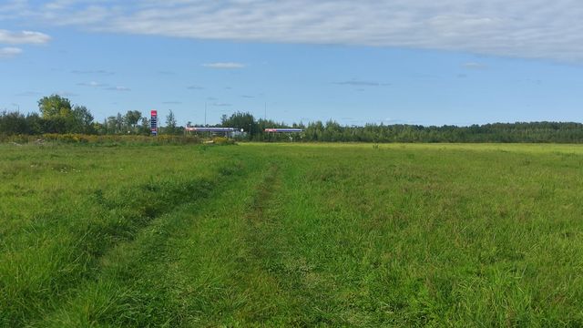 в районе СНТ Зверовод-2 фото