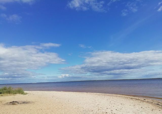 земля р-н Чкаловский г Чкаловск фото 1