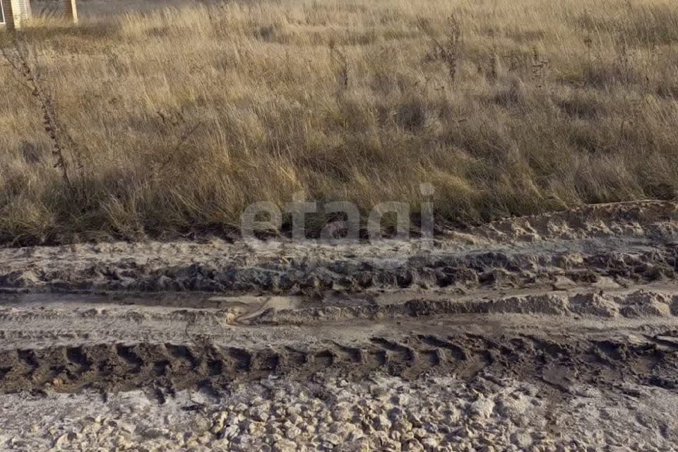 земля р-н Рамонский с Ямное ул Октябрьская фото 3