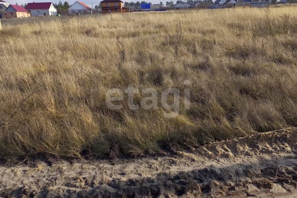 земля р-н Рамонский с Ямное ул Октябрьская фото 4