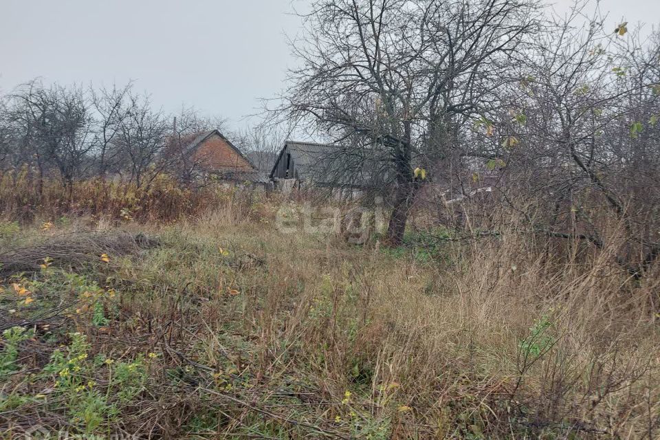 земля р-н Корочанский село Бехтеевка фото 4